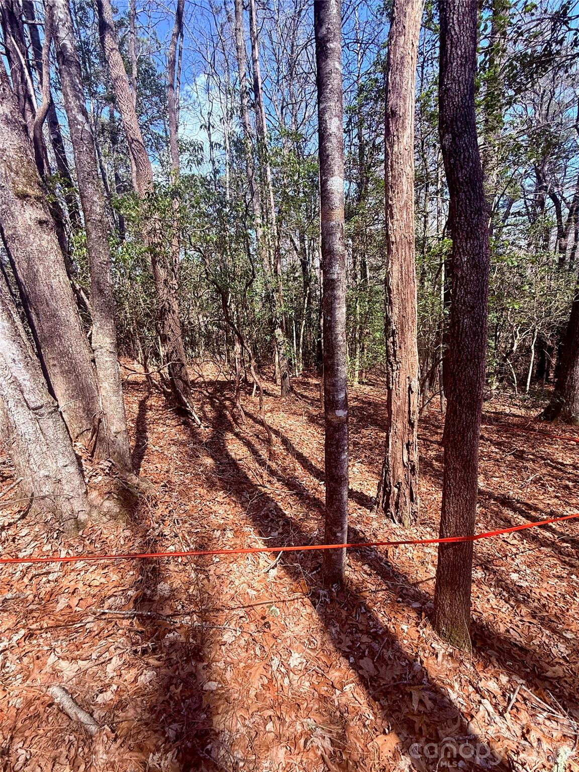 Bear Wallow Hollow - Land