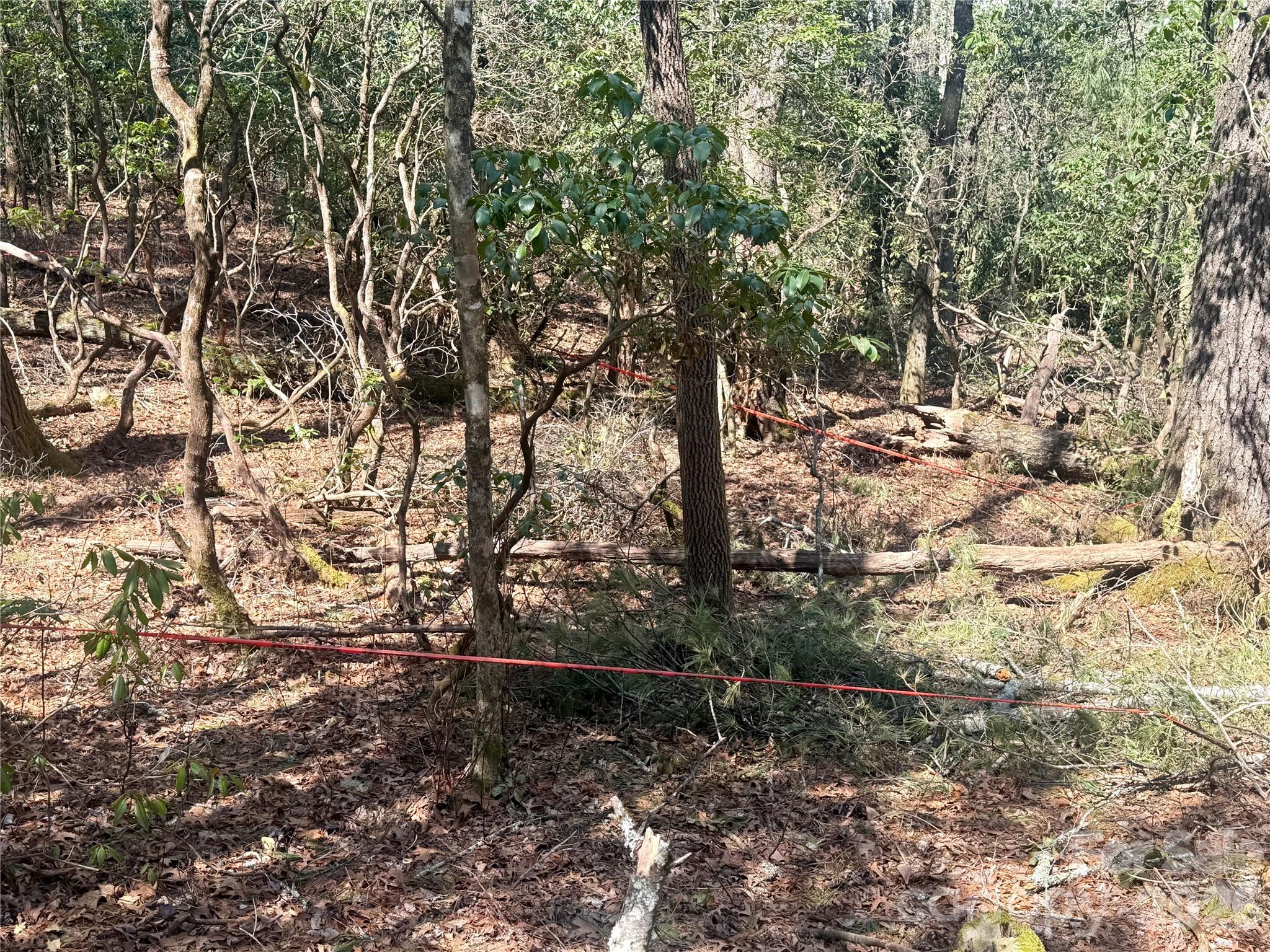 TBD Minerva Lane Lots 79,80,84