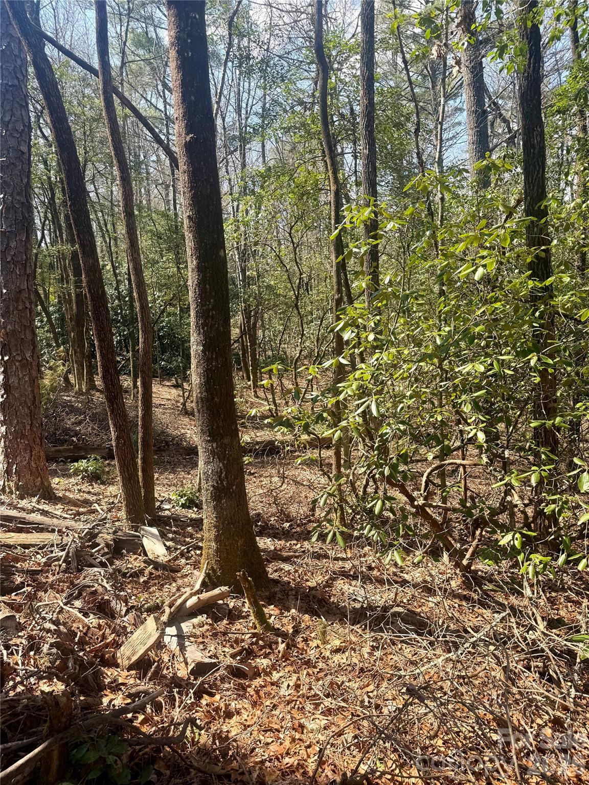 TBD Minerva Lane Lots 79,80,84