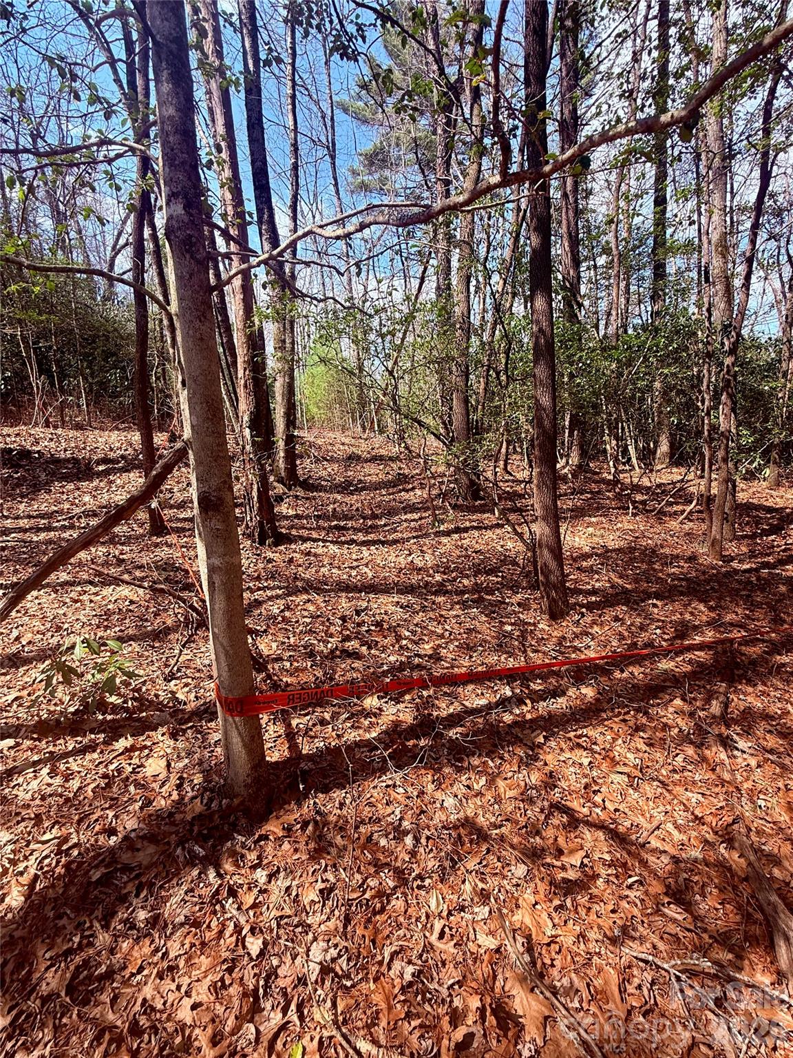 Bear Wallow Hollow - Land