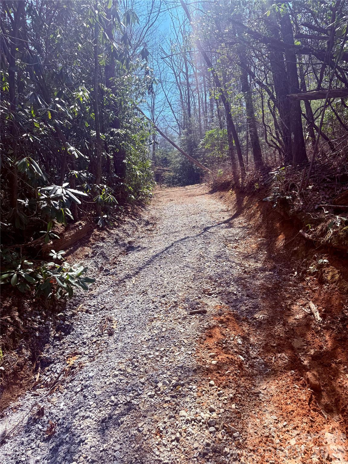 Bear Wallow Hollow - Land