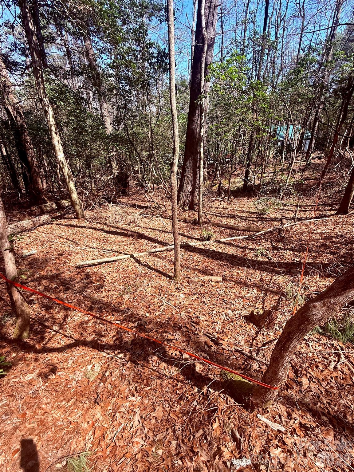 Bear Wallow Hollow - Land