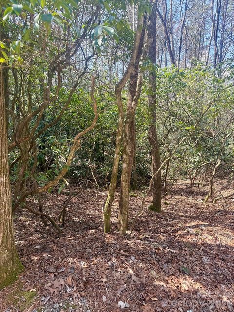 TBD Minerva Lane Lots 79,80,84 Sapphire NC 28774