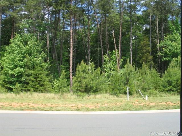 Reflection Pointe - Land