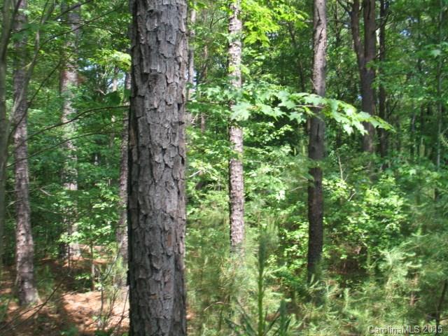 Reflection Pointe - Land