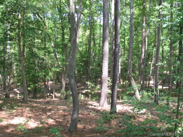 Reflection Pointe - Land