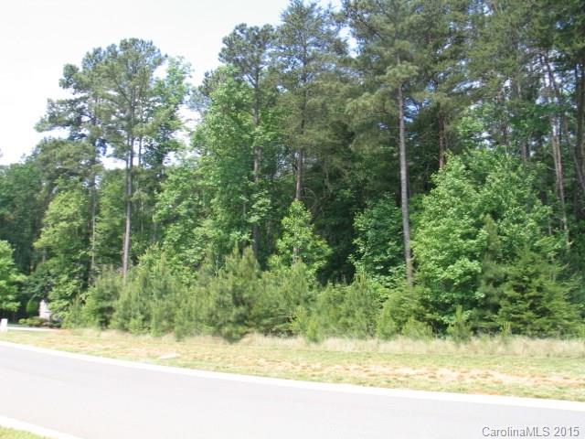 Reflection Pointe - Land