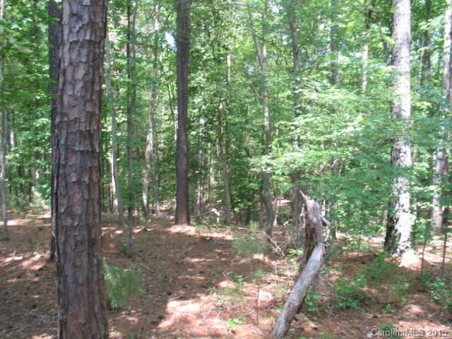 Reflection Pointe - Land