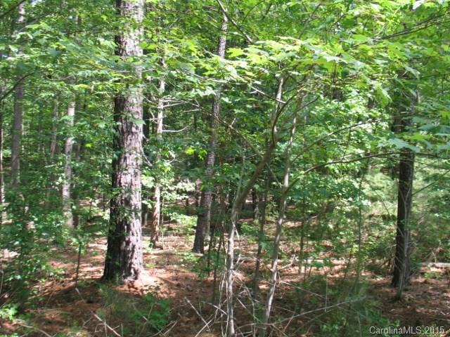 Reflection Pointe - Land