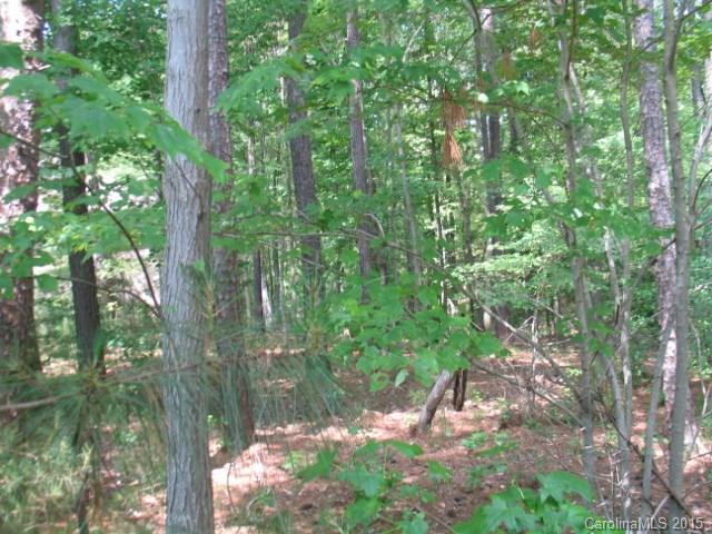 Reflection Pointe - Land