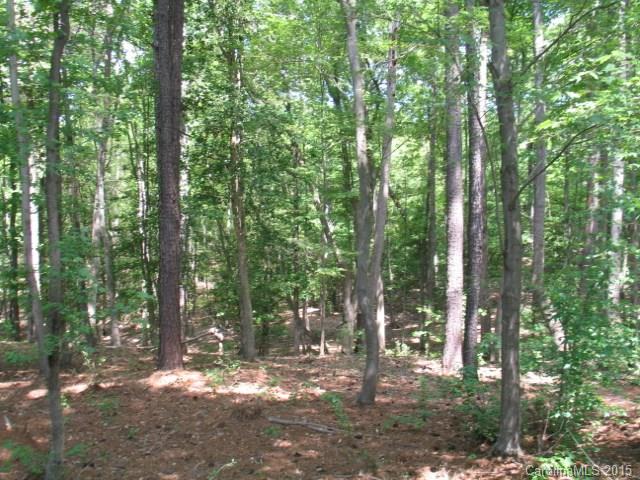 Reflection Pointe - Land