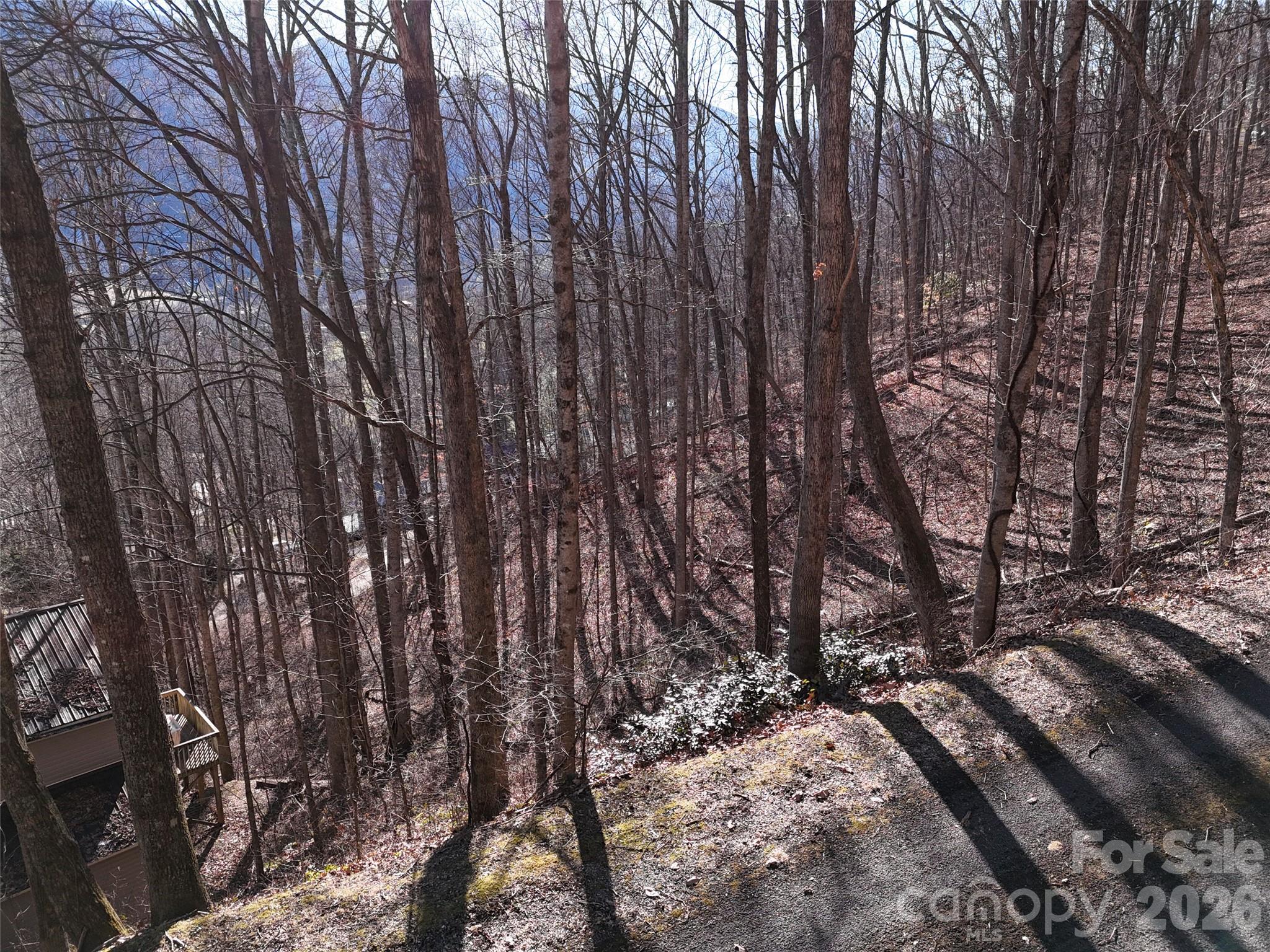 Maggie Valley Country Club Est - Land