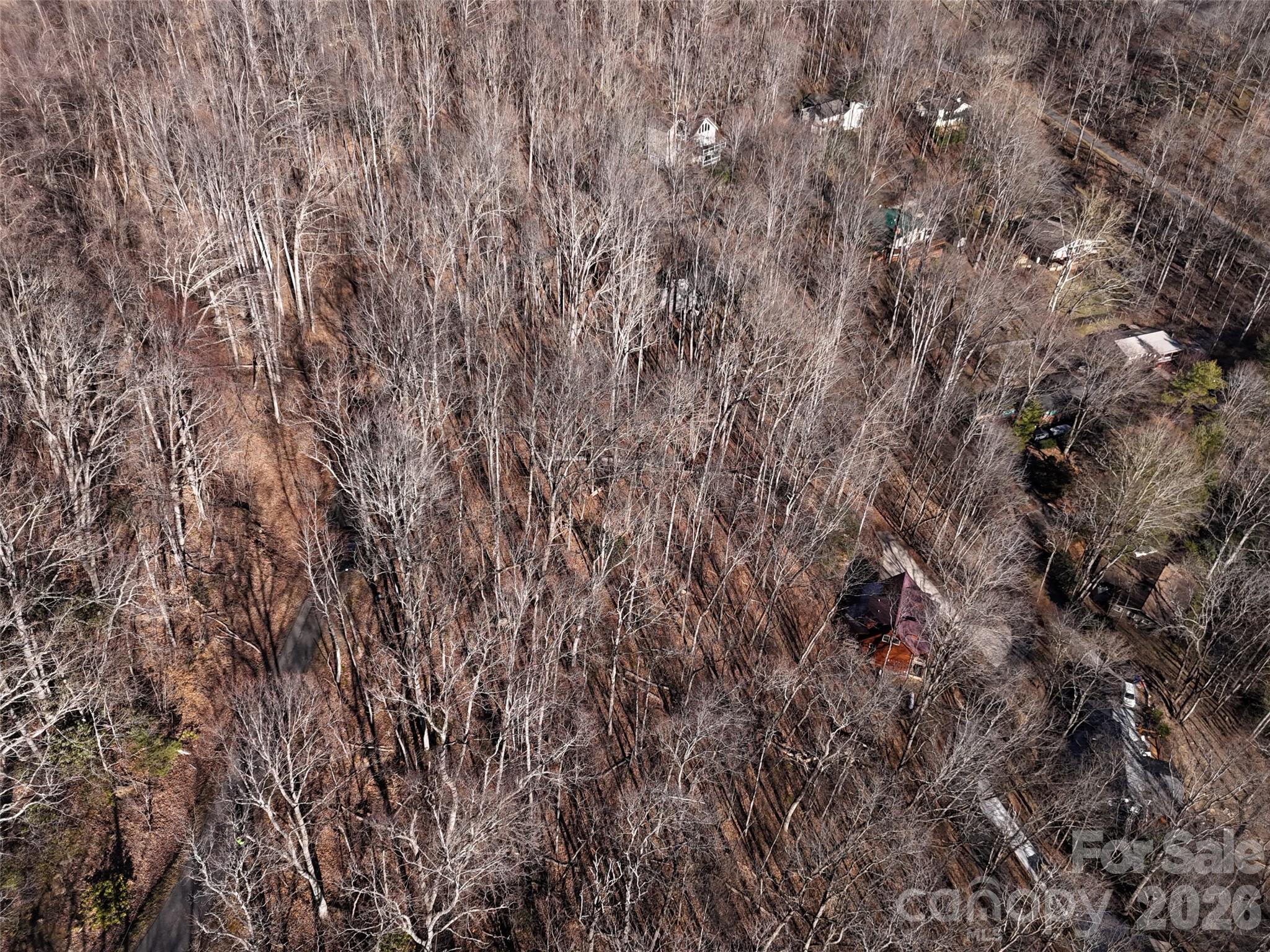 Maggie Valley Country Club Est - Land