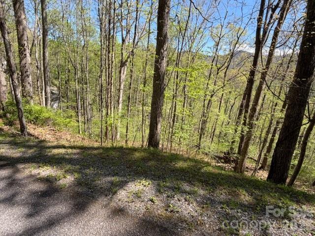 Maggie Valley Country Club Est - Land