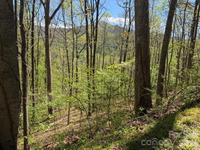 Maggie Valley Country Club Est - Land