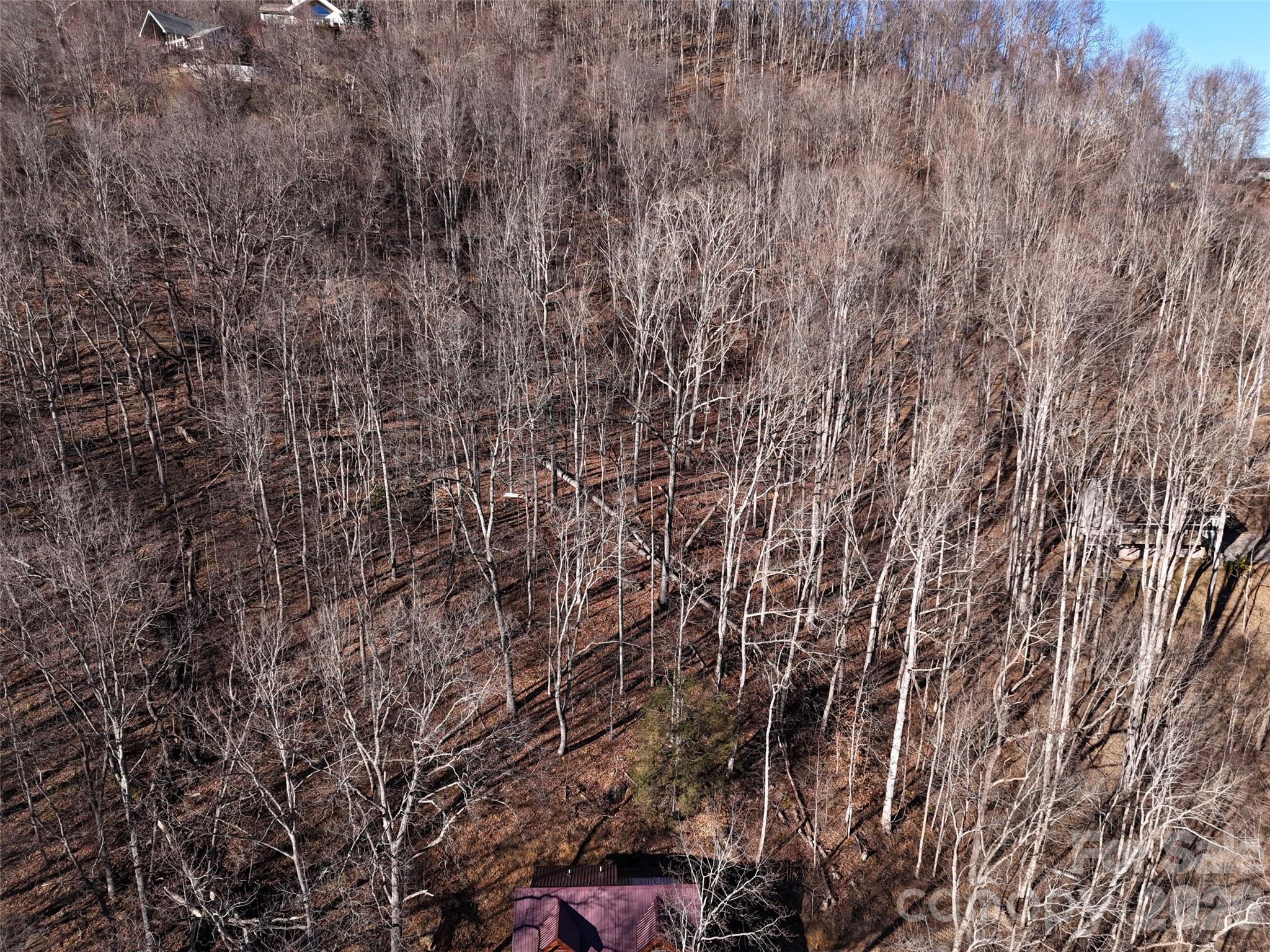 Maggie Valley Country Club Est - Land