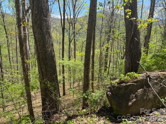 0000 Greenview Drive