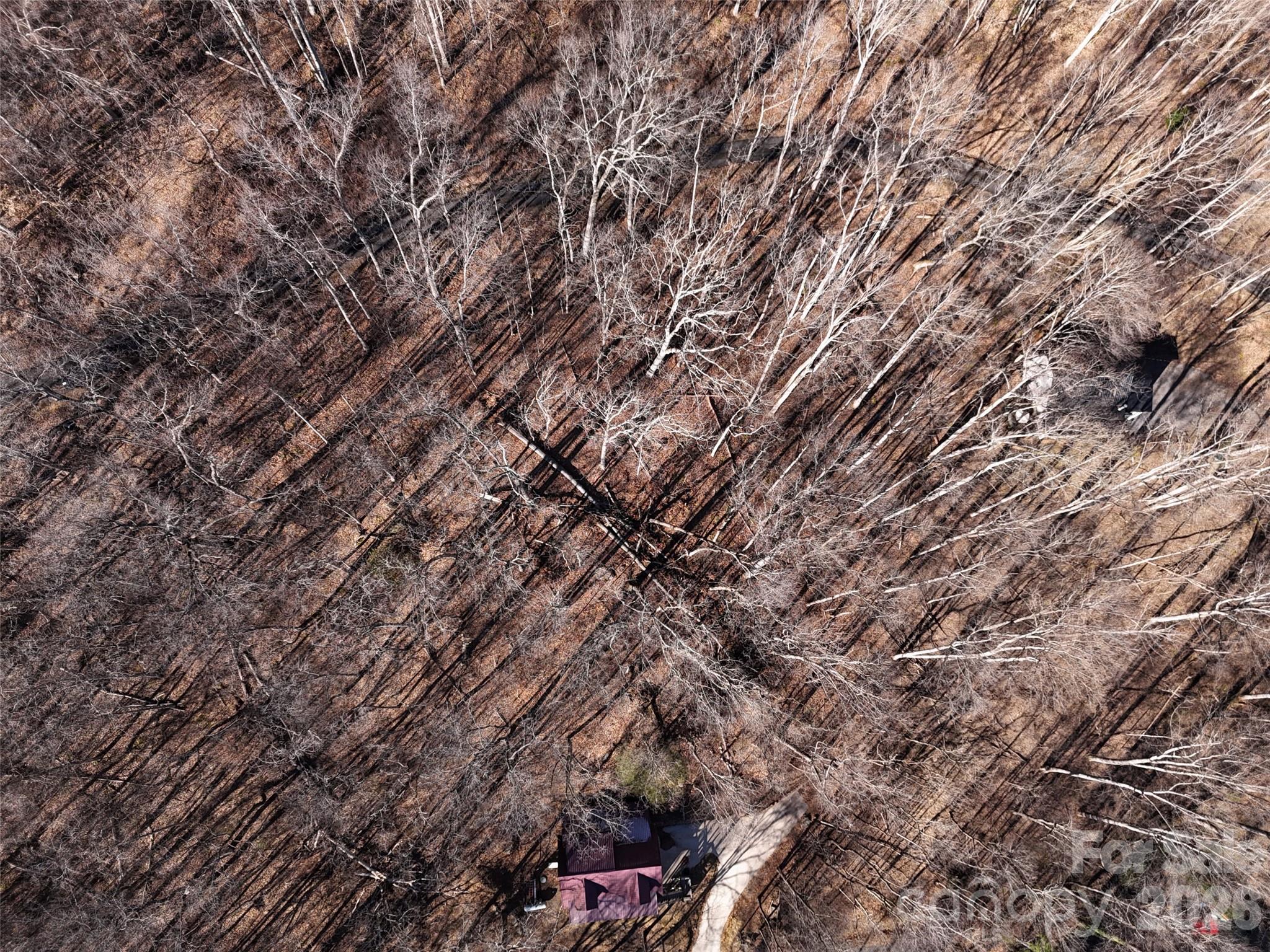 Maggie Valley Country Club Est - Land