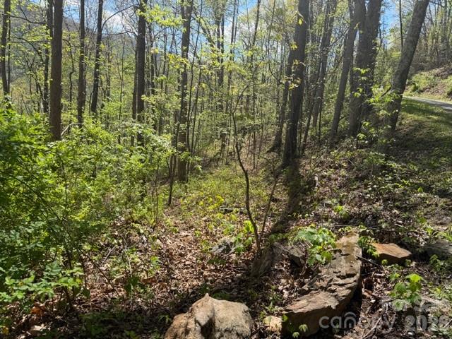 Maggie Valley Country Club Est - Land