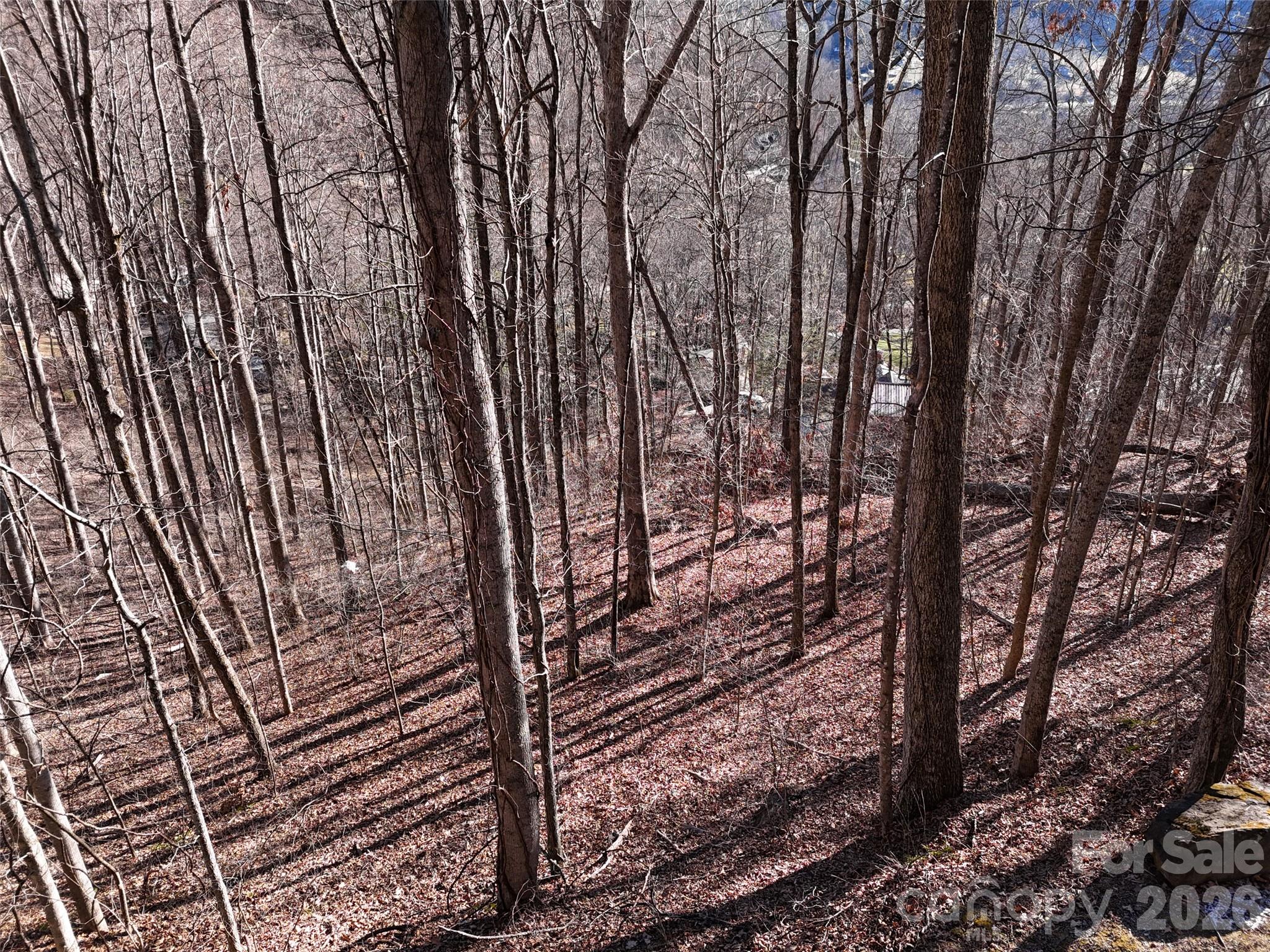 Maggie Valley Country Club Est - Land