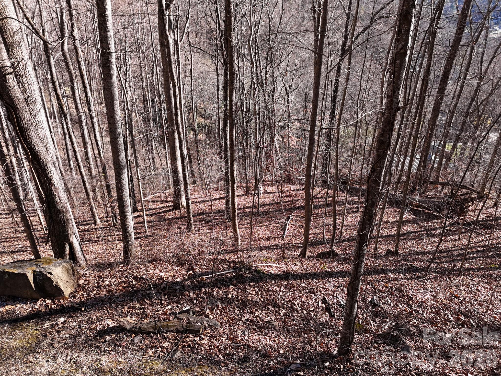 Maggie Valley Country Club Est - Land