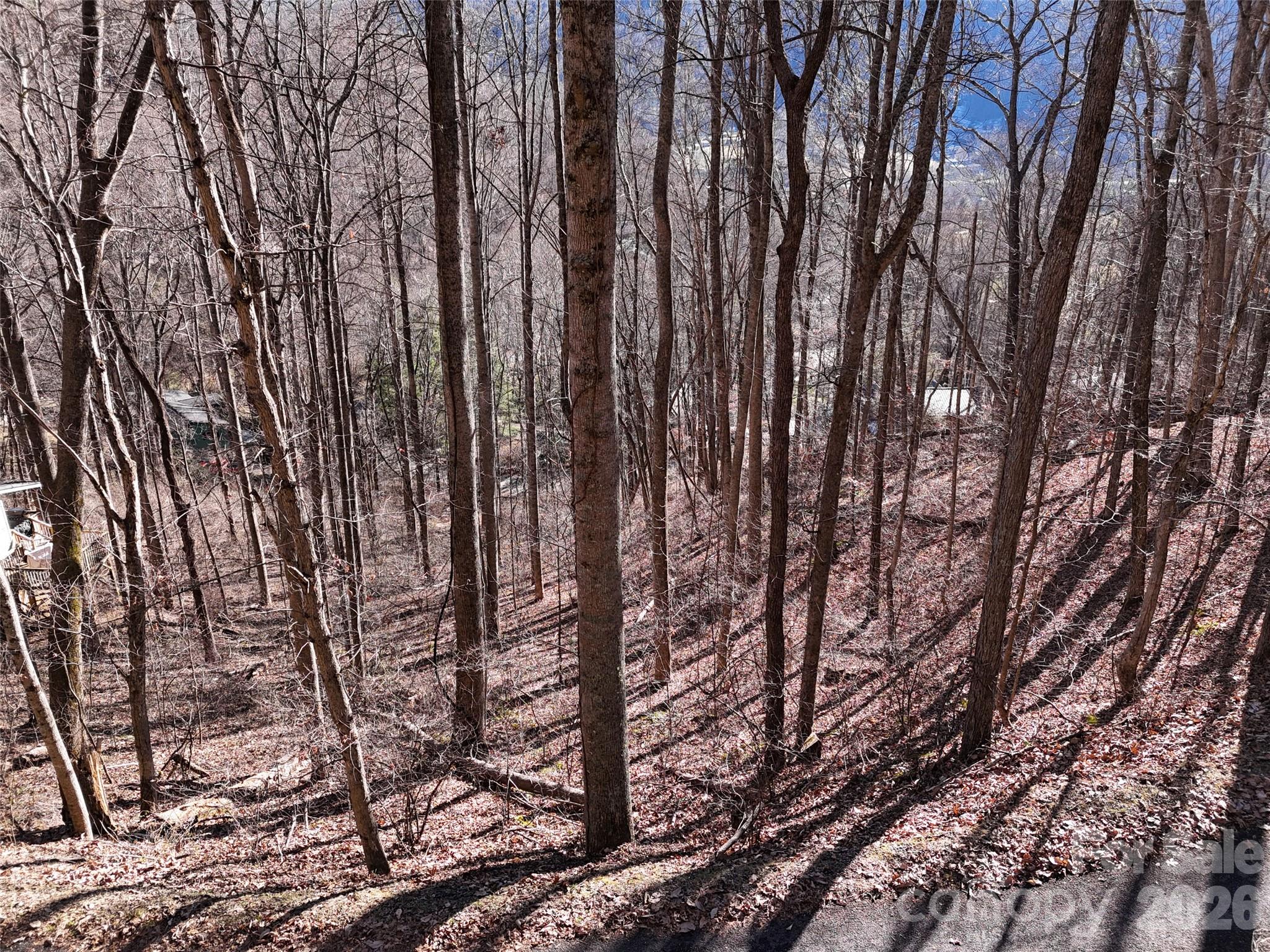 Maggie Valley Country Club Est - Land