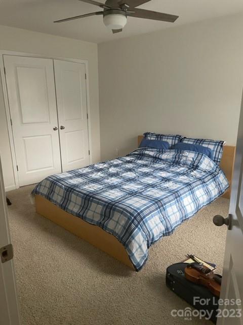 Avondale - Residential Lease