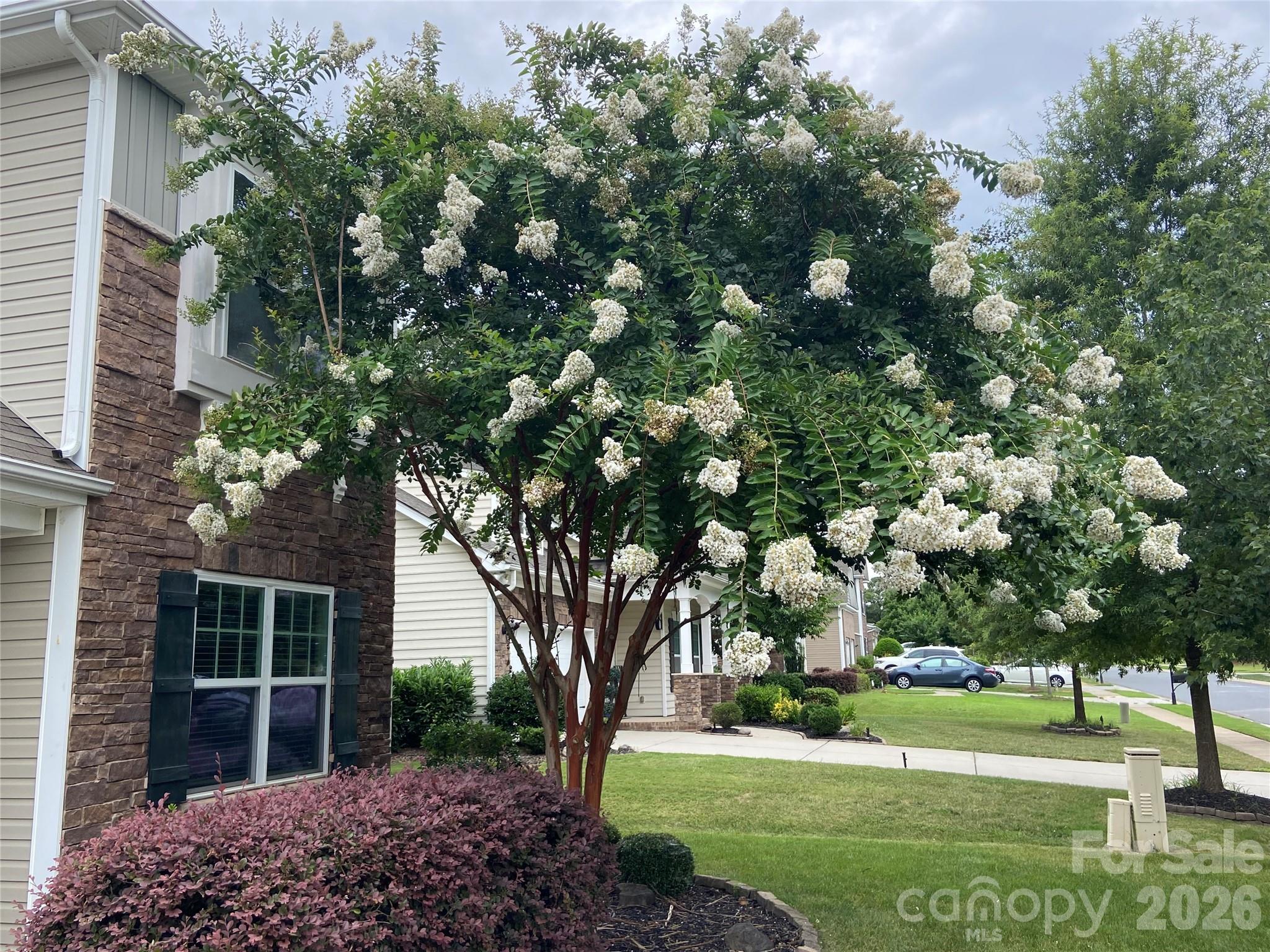 Berewick - Residential