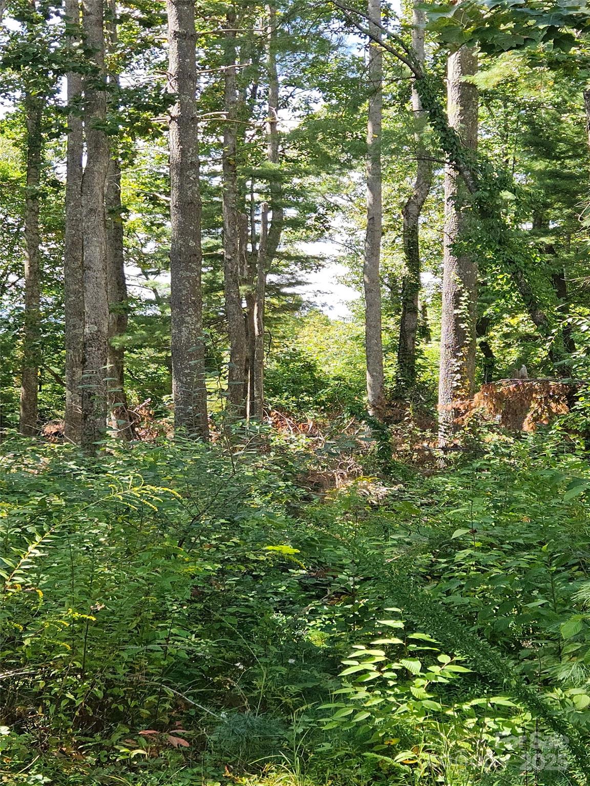 Grand Highlands at Bearwallow - Land