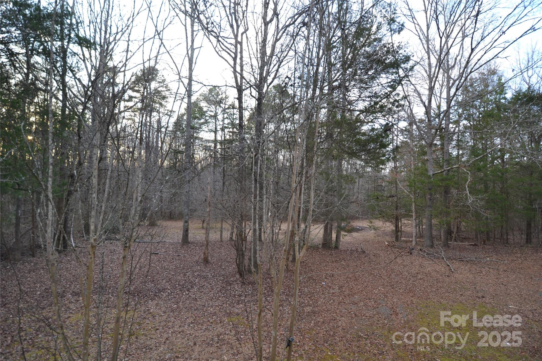 None - Residential Lease