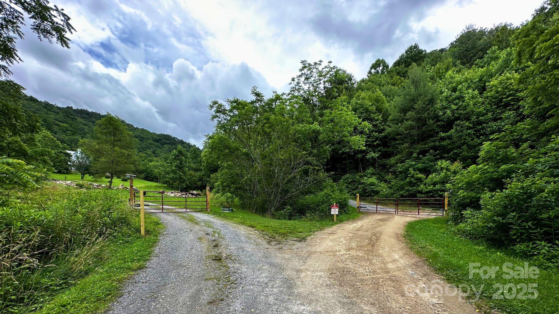 Fines Creek Cove - Land