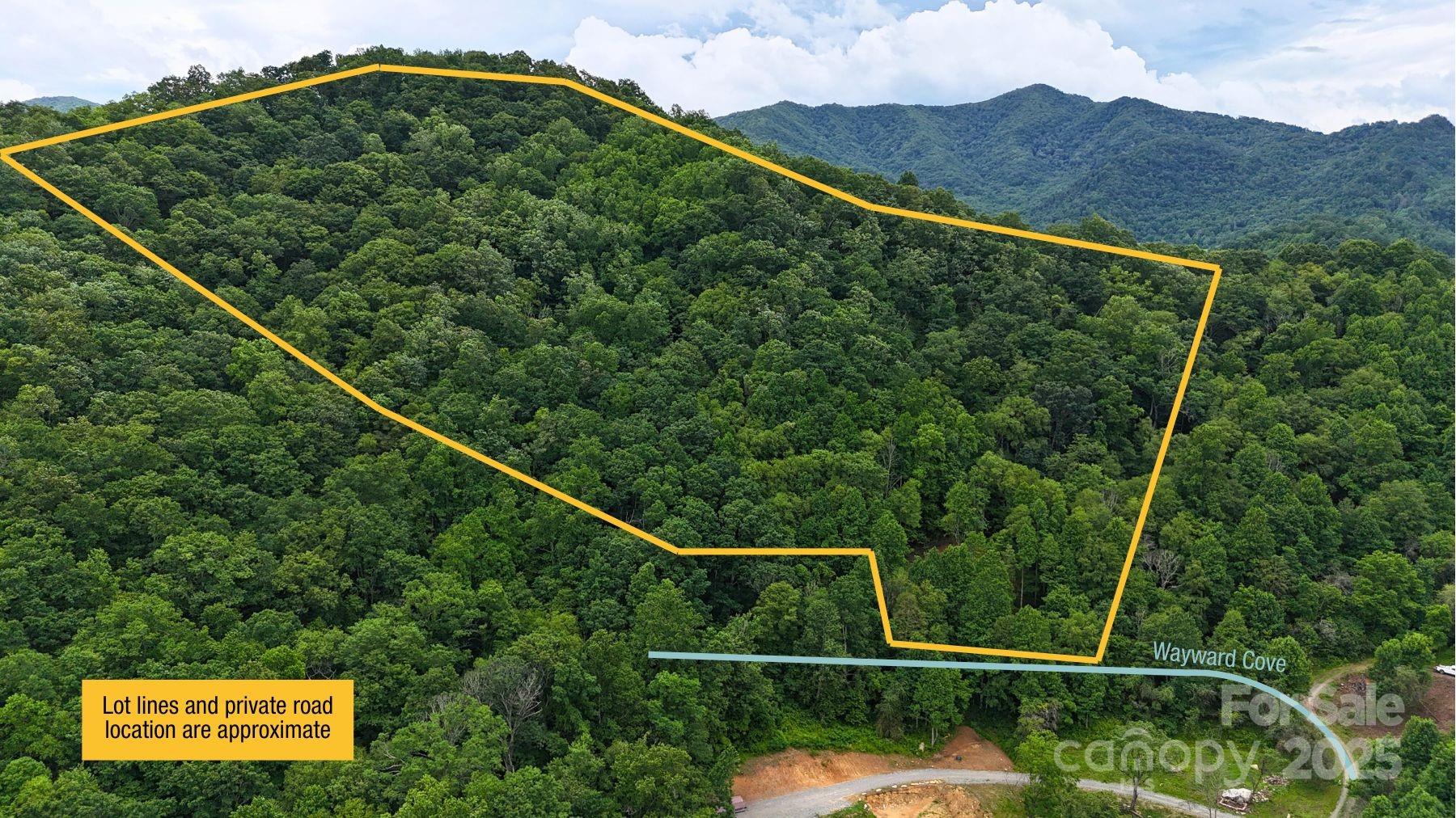 Fines Creek Cove - Land