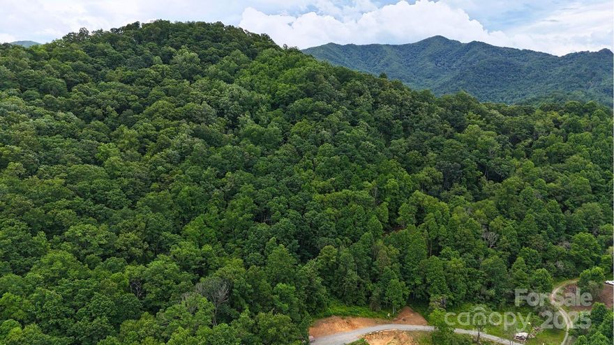 Build your mountain retreat on this 12.04-acre homesite in the gated community of Fines Creek Cove. A gravel driveway and excavated house pad are already in place, offering a strong head start for your build. The sloped lot provides privacy and gorgeous northwest-facing mountain views—open up the landscape even more with selective tree clearing. Fines Creek Cove is a private mountain community with light restrictions and road maintenance managed by property owners. You'll love the easy access to nearby hiking, whitewater rafting, and trout fishing, with Max Patch, the Appalachian Trail, and the Great Smoky Mountains National Park just minutes away. A 3-bedroom septic permit is on file. Conveniently located between Asheville, Maggie Valley, and Knoxville, this property offers the perfect balance of seclusion and accessibility. Come explore the potential of this exceptional mountain homesite.