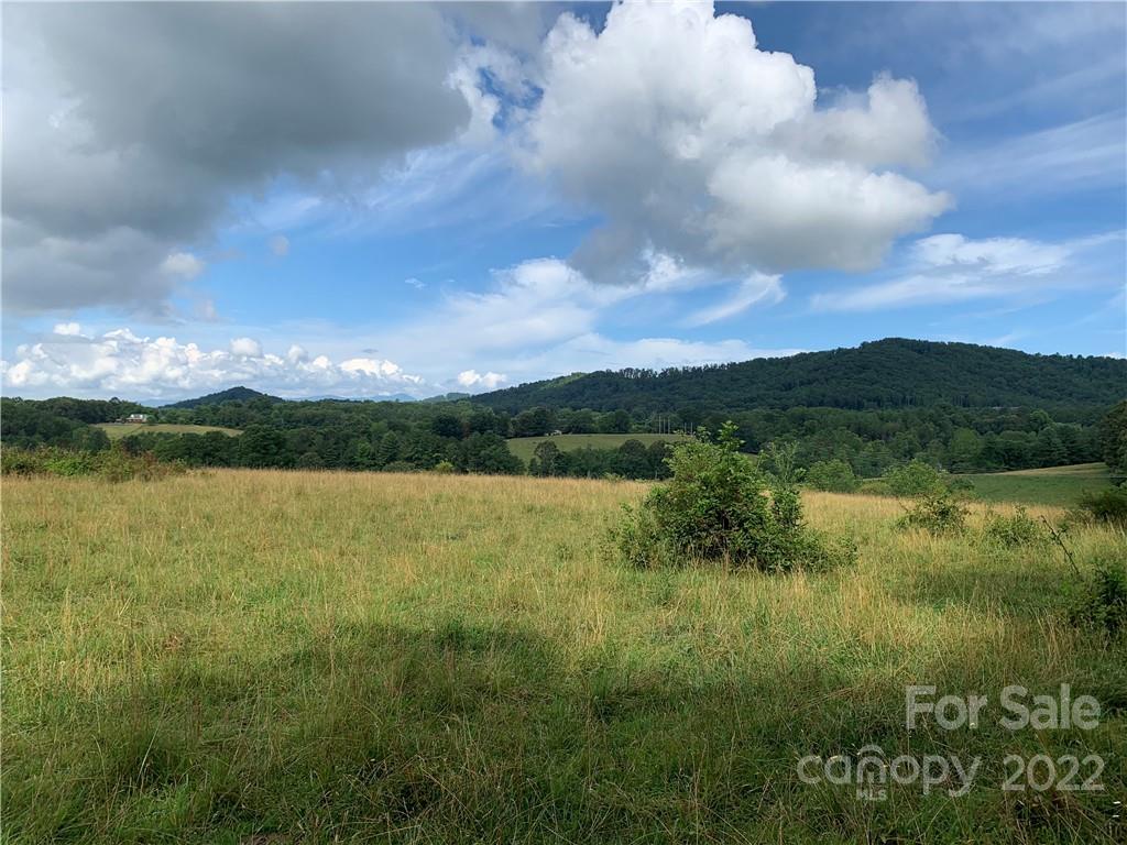 Hidden Meadows of Cane Creek - Land