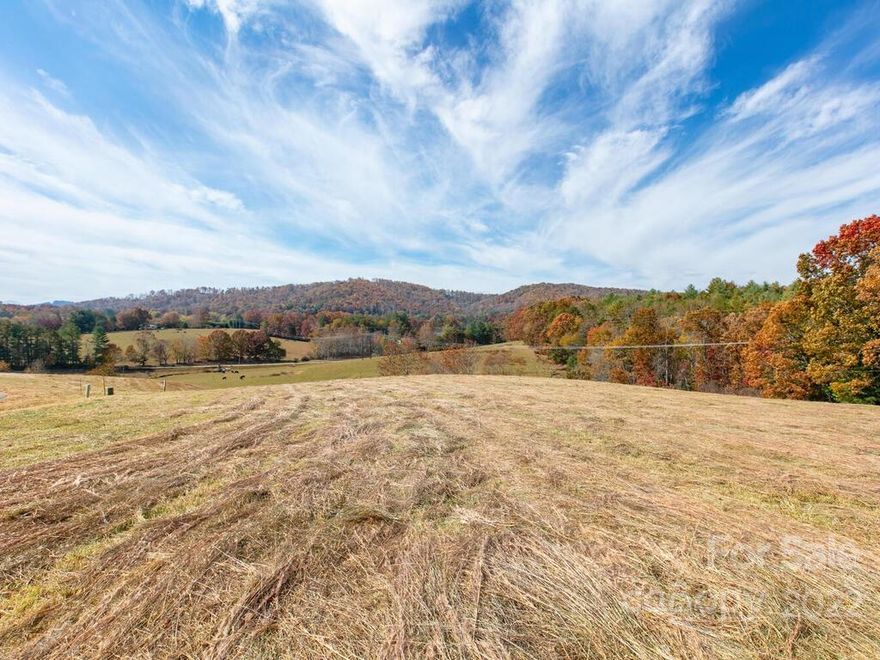 Hidden Meadows of Cane Creek offers a breathtaking country setting with the convenience and amenities of Asheville NC just minutes away. The Cane Creek neighborhood is characterized by rolling pasture and mountain views and has become one of the area’s most desirable locations. This thoughtfully designed community offers 15 homesites spread over 20 acres. If you have been searching for that perfect property, you have realized by now that most properties are challenging to build on and expensive to say the least. Hidden Meadows of Cane Creek is one of a kind… the majority of the properties have little to no clearing required with gentle topography and all of the properties have mountain views. Each homesite comes with septic improvement permit from Buncombe County.  High speed internet options available. Lot 6 is a special property! Its almost perfectly flat with stunning long range mountain views. The sunset from here is amazing!