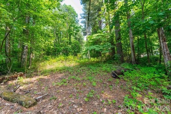 TBD WOODFIN ROAD, SYLVA, NC 28779 - Image 2d54d93e115a5845b7dc8a4bfc8fe999/2561175065