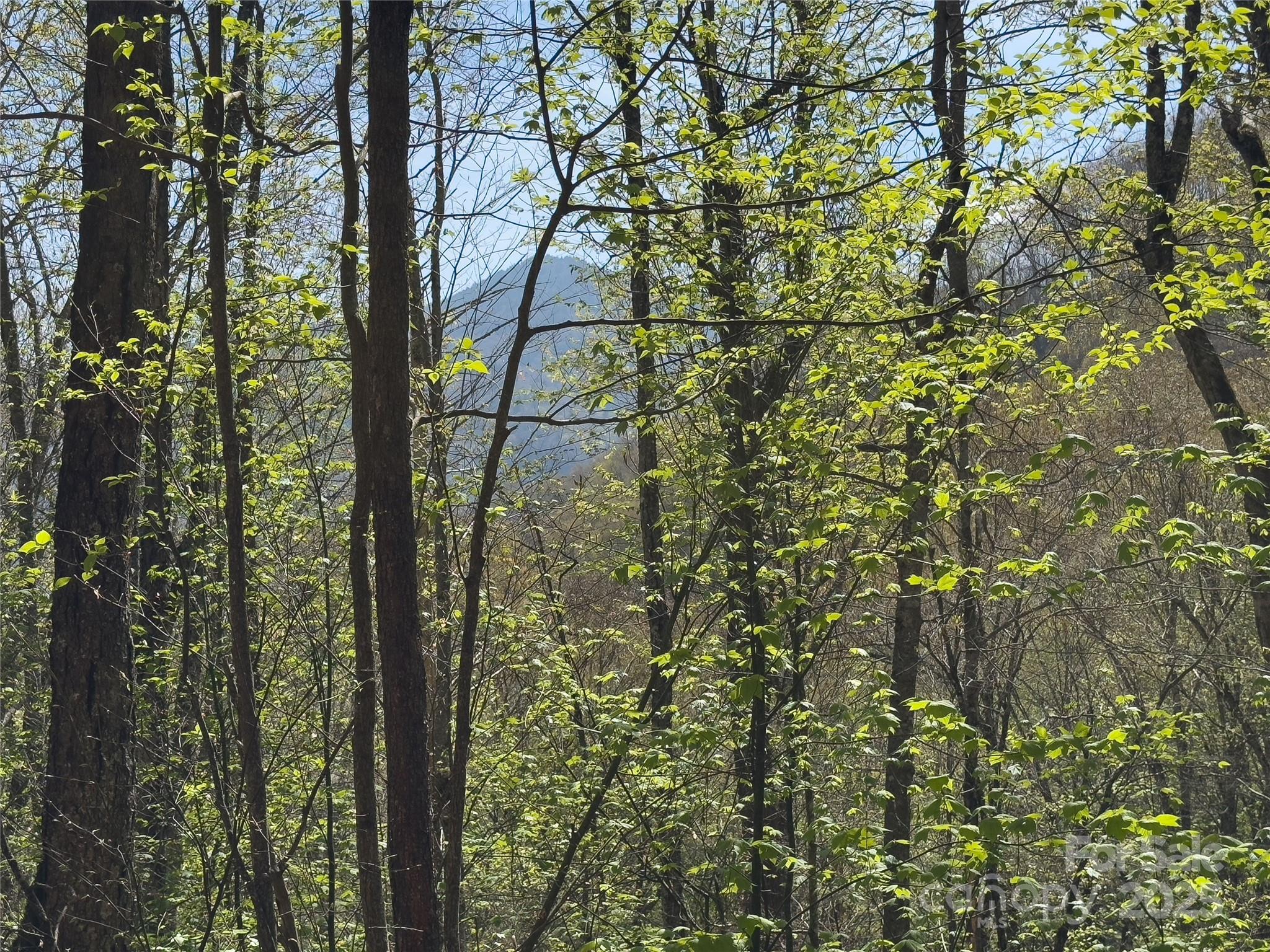 Lot 64/65 Big Springs Trail 64/65