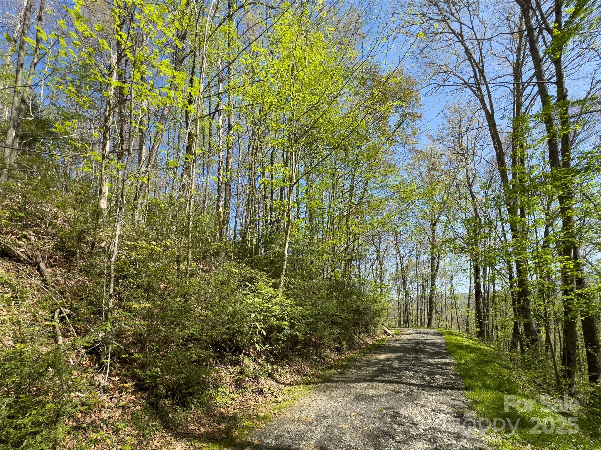 Lot 64/65 Big Springs Trail 64/65