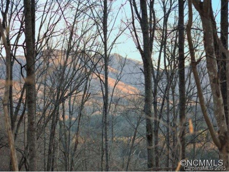 Desirable Buffalo Mountain in Scenic Riceville area. This lot has South facing open views. Community offers easy access, paved streets, mountain views, native plants and wildlife. Only 15 Mins to DT Asheville. Community water available with connection and Septic is needed. Lot previously perced for 3 bedrooms(buyer to have new perc test done). This is the lot you will want to build your new dream home on. See surveys in MLS attachments.
