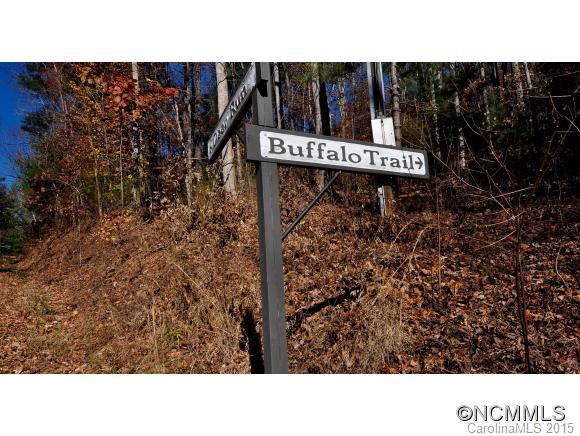 Buffalo Mountain - Land
