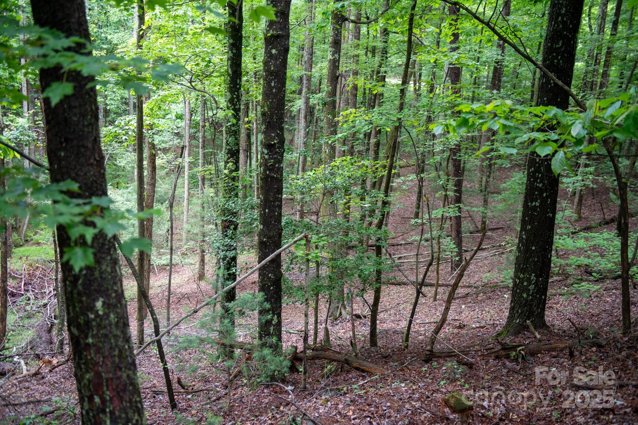 Chestnut Mountain Farms - Land