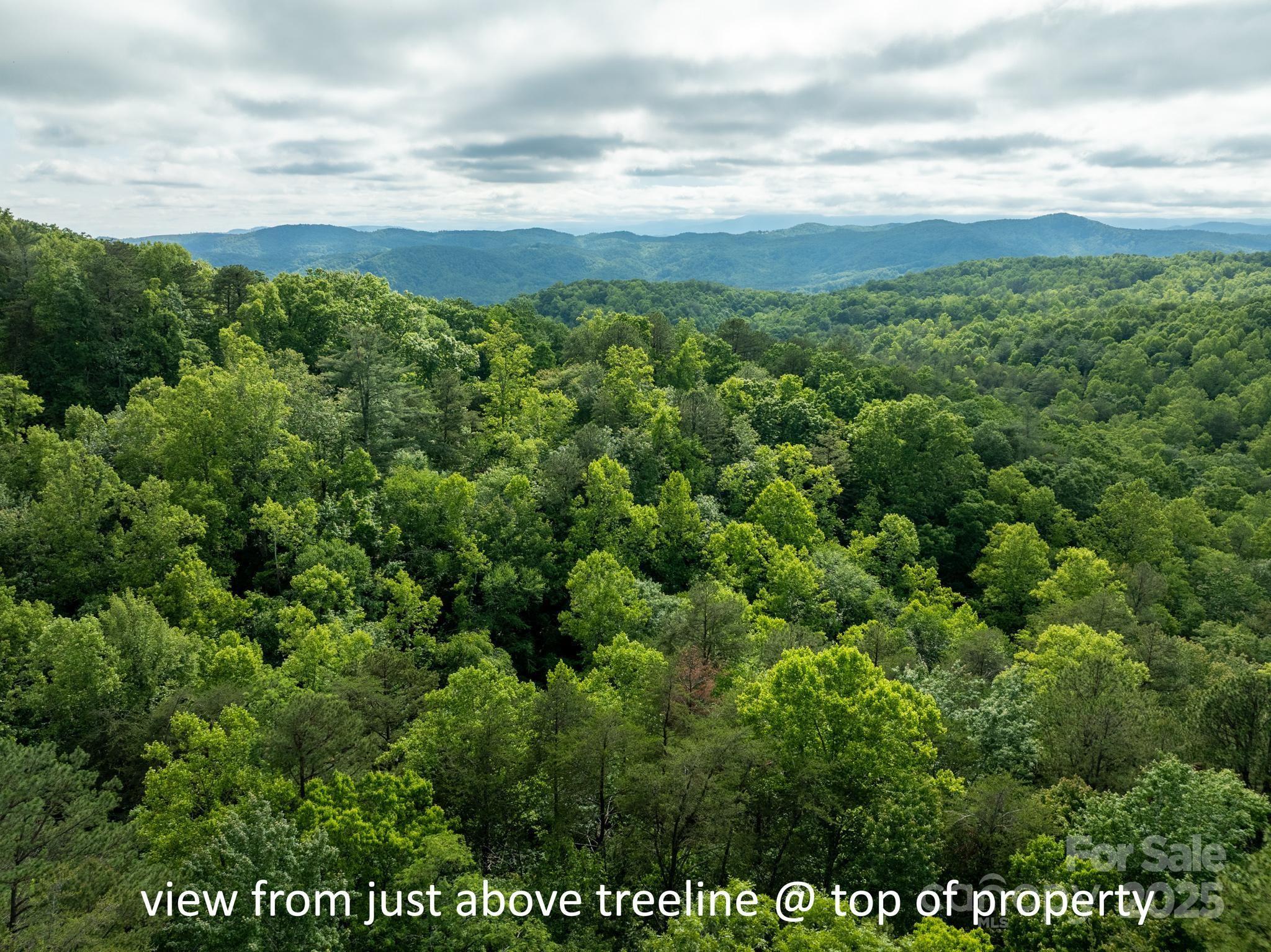 Chestnut Mountain Farms - Land