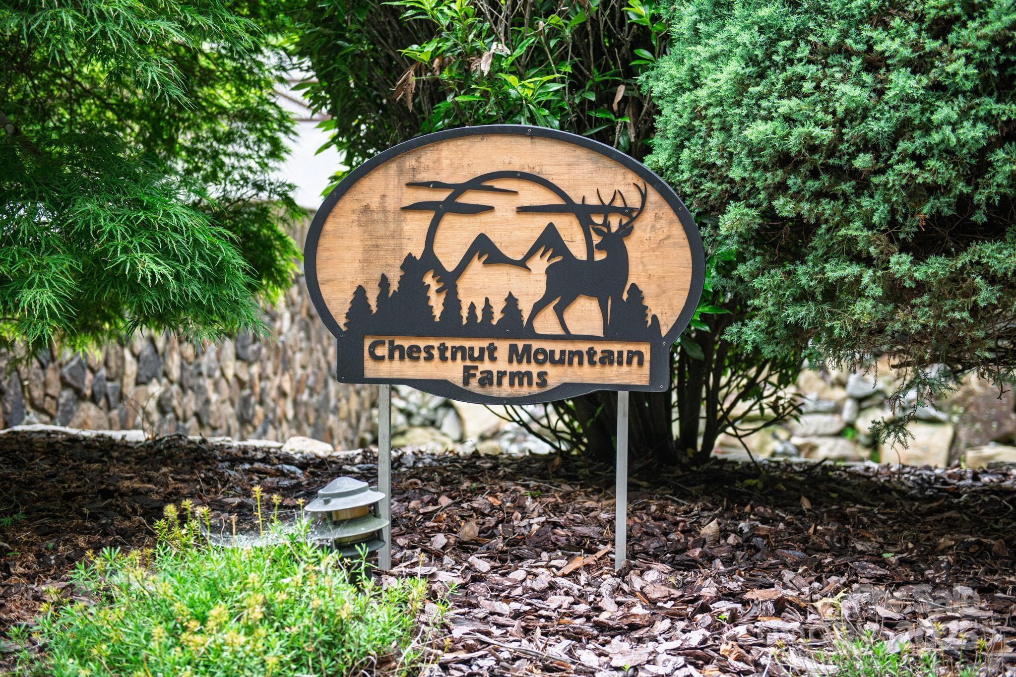 Chestnut Mountain Farms - Land
