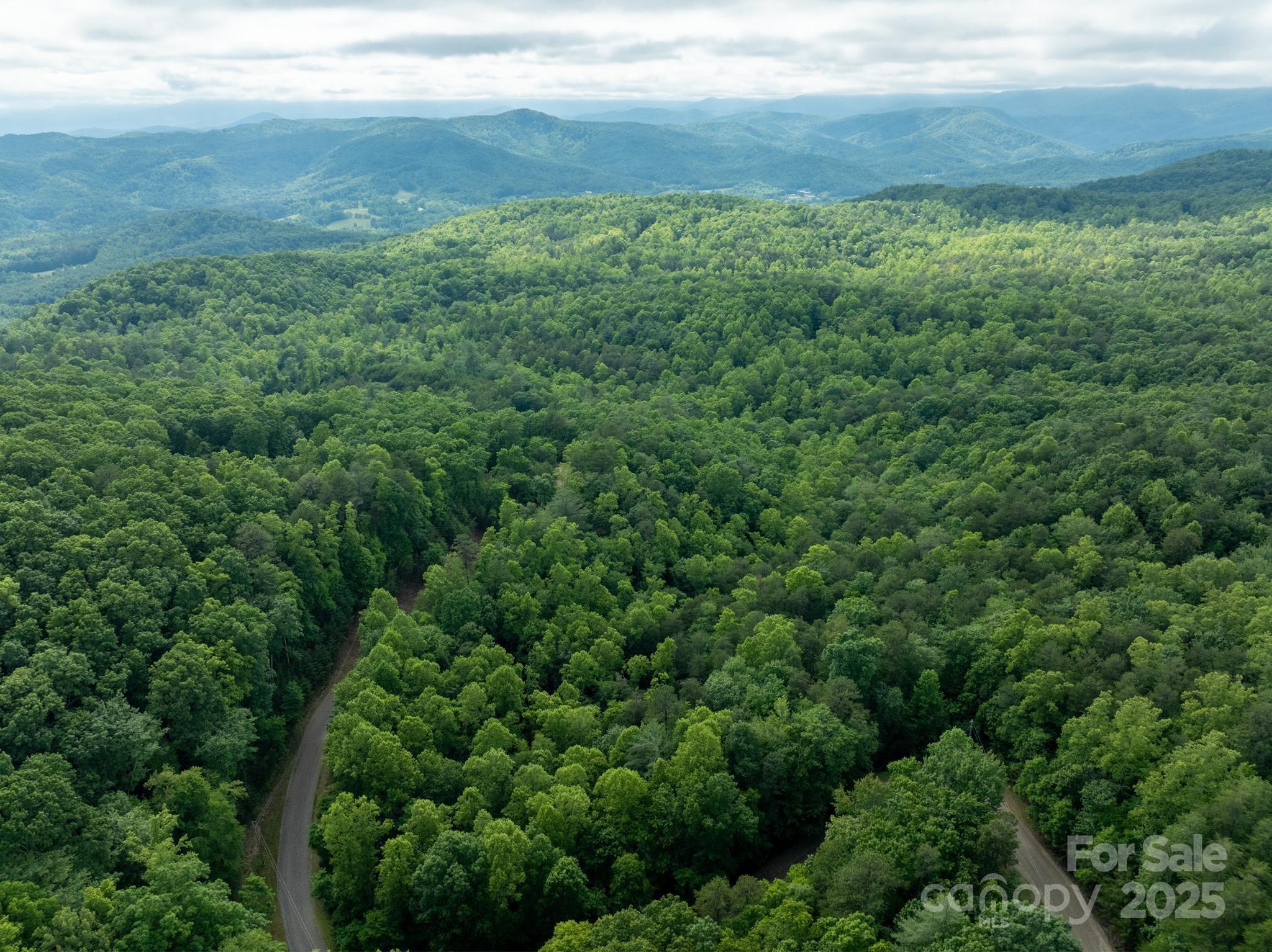 Chestnut Mountain Farms - Land