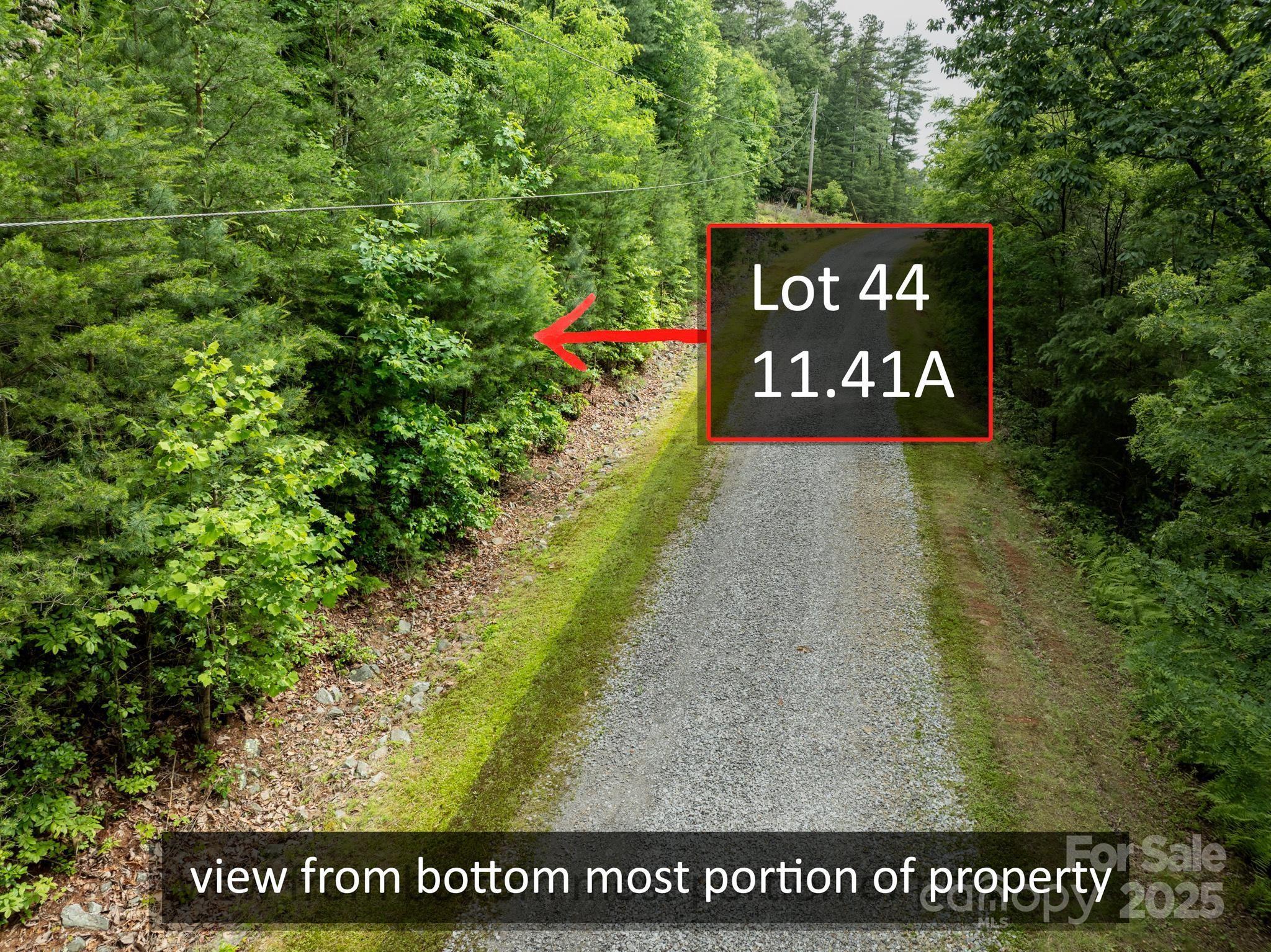 Chestnut Mountain Farms - Land