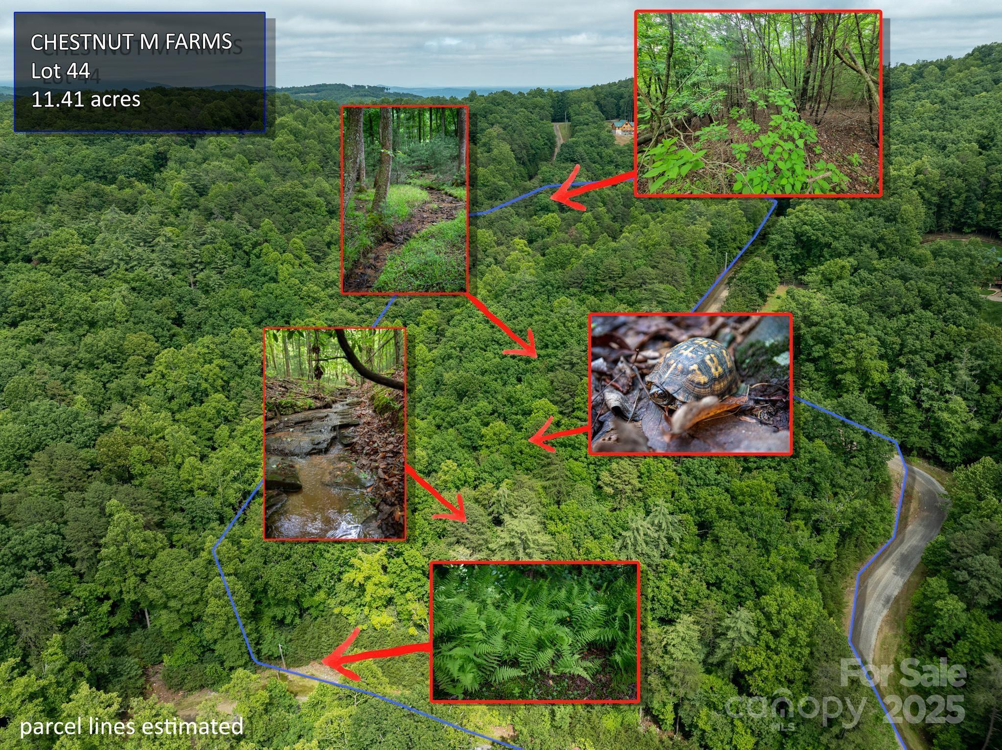 Chestnut Mountain Farms - Land