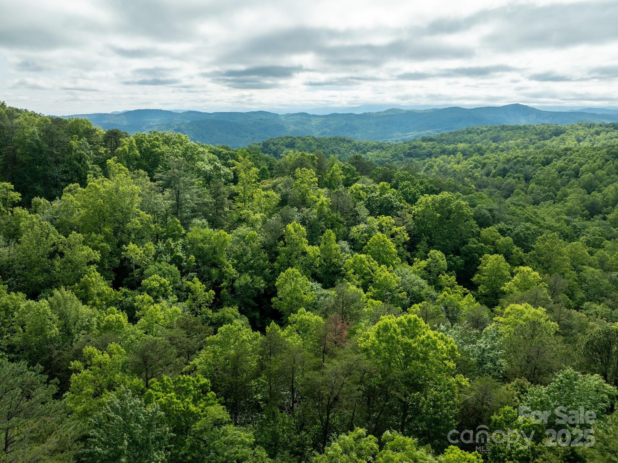 Chestnut Mountain Farms - Land