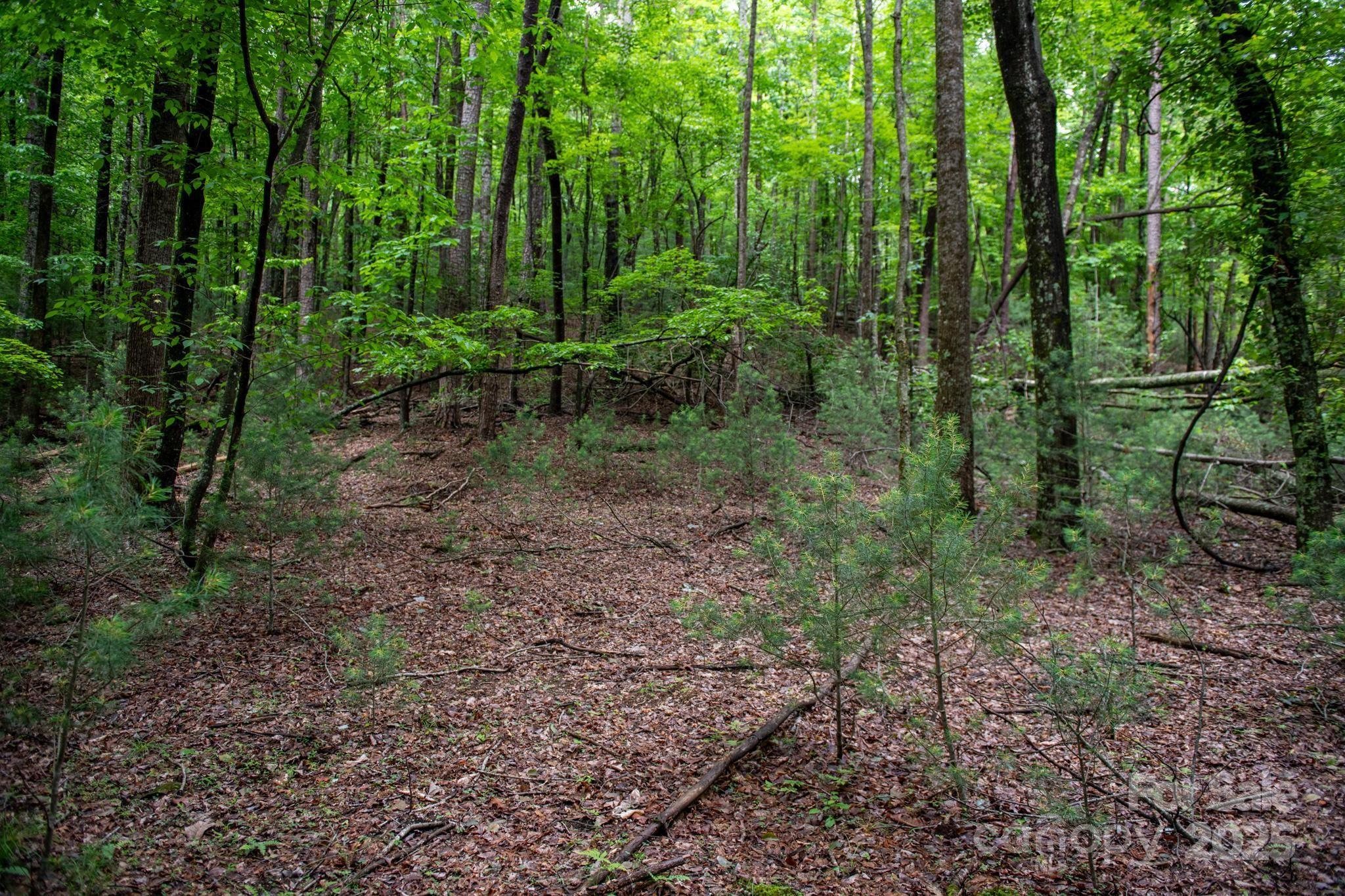 Chestnut Mountain Farms - Land