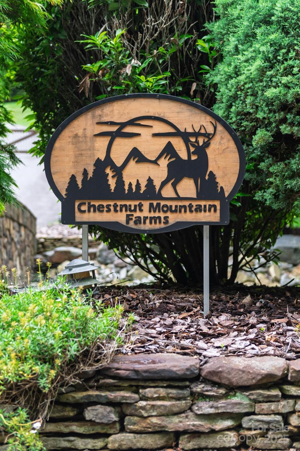 Chestnut Mountain Farms - Land