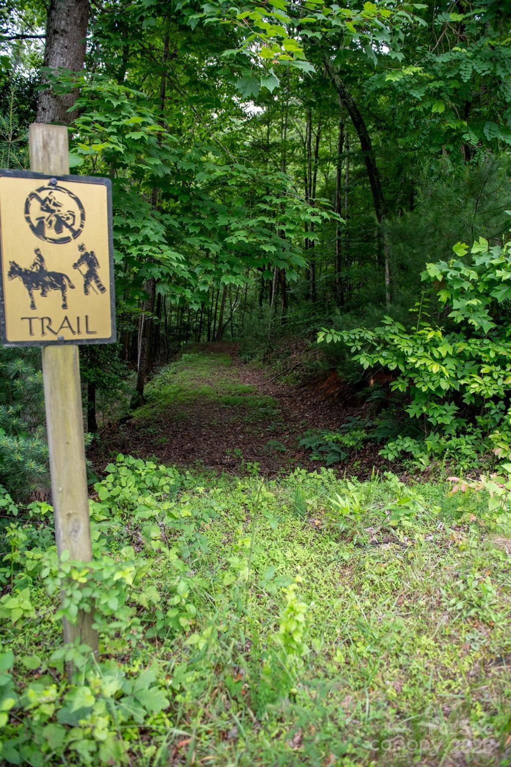 Chestnut Mountain Farms - Land